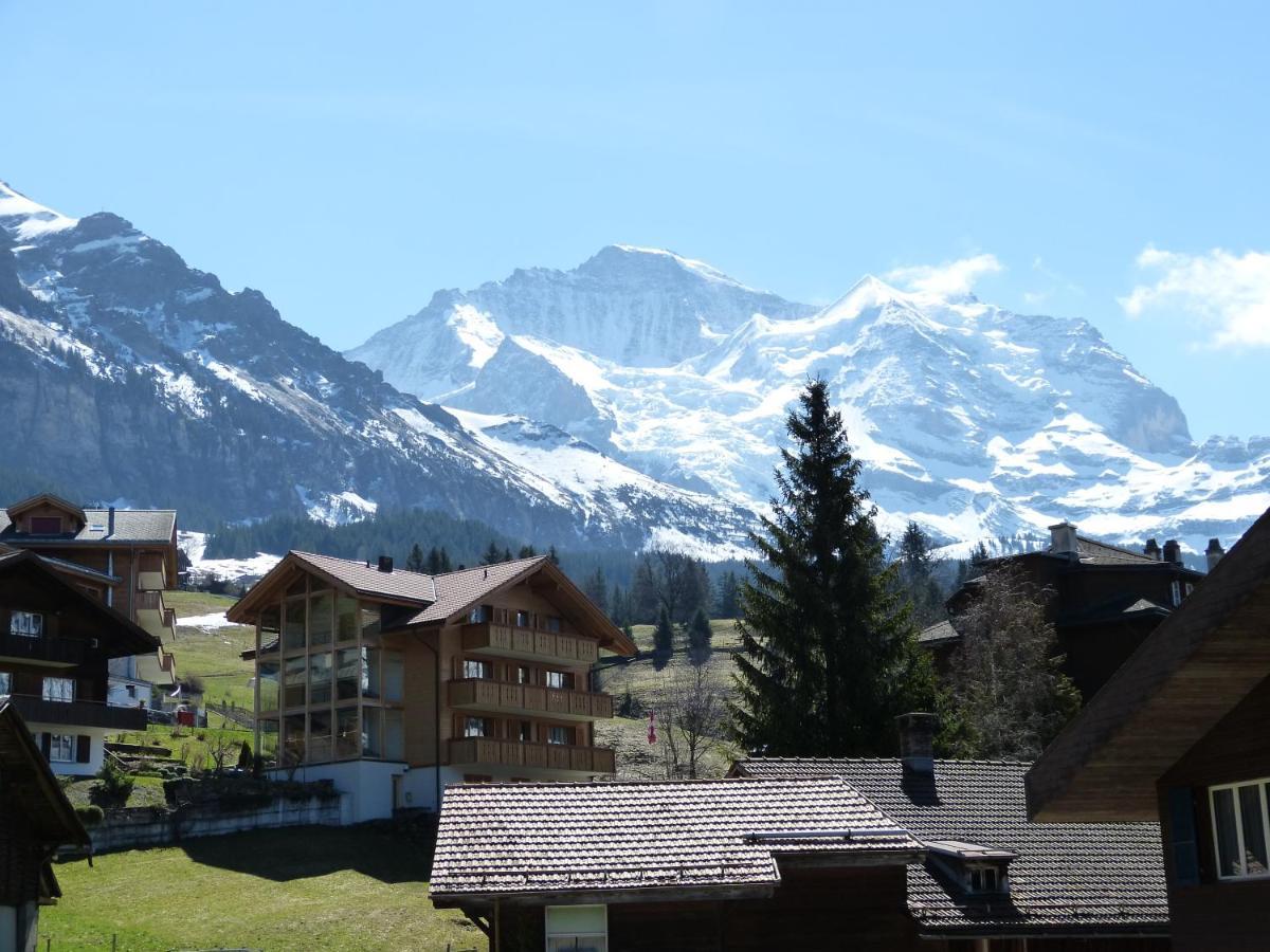 Chalet Bella Vista 4 Wengen Luaran gambar